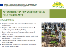 Automated intra-row weed control in field transplants.